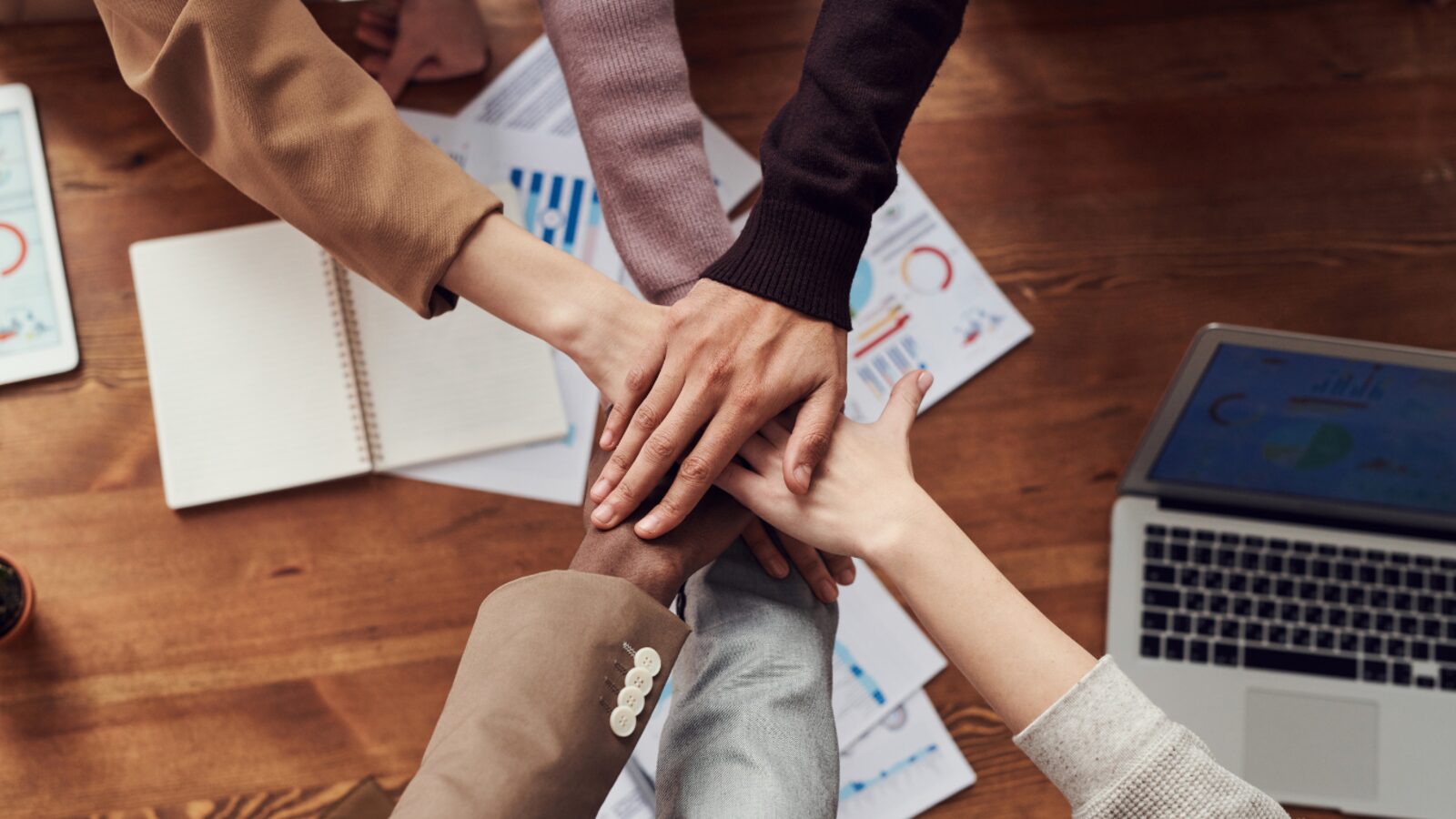 Equipo de consultores de Eficazmente trabajando con datos de talento